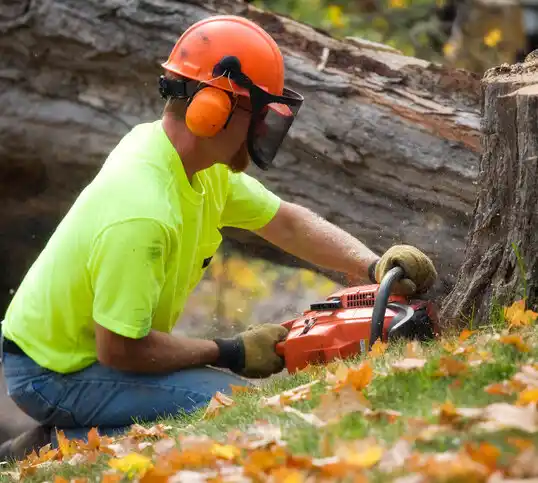 tree services Natchez